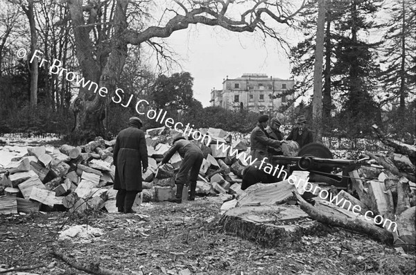 CUTTING LOGS IN GRAPERY